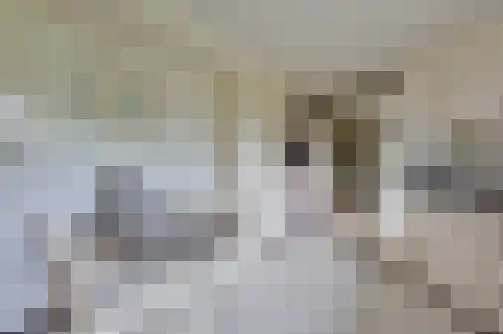 Vogelenzang 10 Malden thumbnail 8