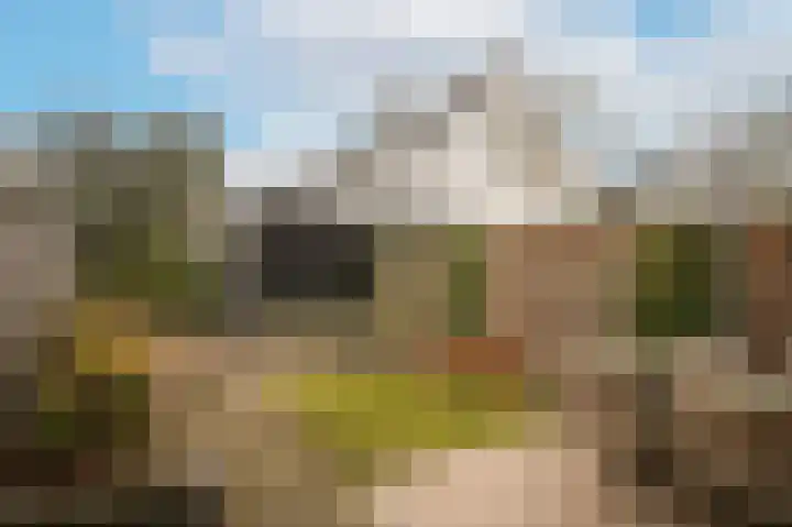 Vogelenzang 16 a Zaltbommel thumbnail 35