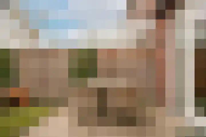 Vogelenzang 16 a Zaltbommel thumbnail 36