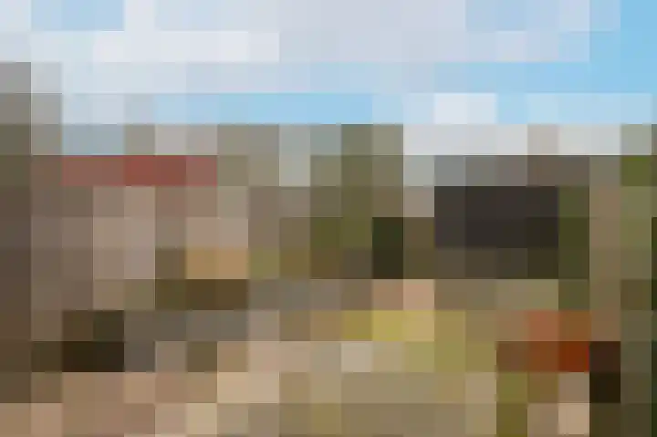 Vogelenzang 16 a Zaltbommel thumbnail 37