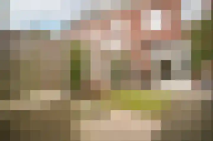 Vogelenzang 16 a Zaltbommel thumbnail 40