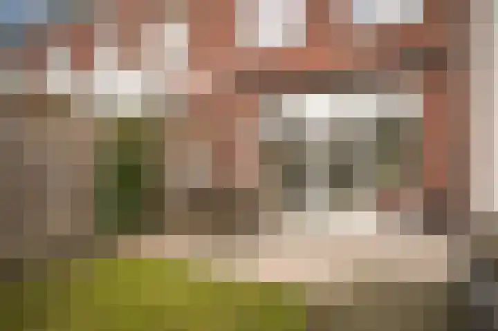 Vogelenzang 16 a Zaltbommel thumbnail 41