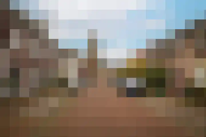 Vogelenzang 16 a Zaltbommel thumbnail 44