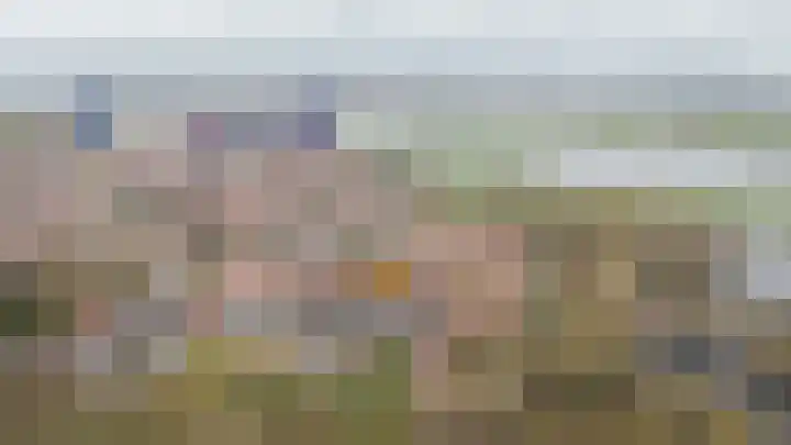 Vogelenzang 16 a Zaltbommel thumbnail 51