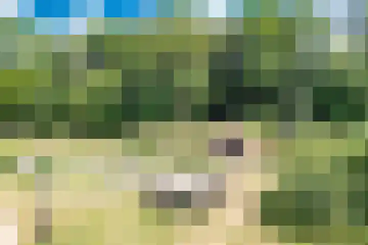 Vogelenzang 16 a Zaltbommel thumbnail 55
