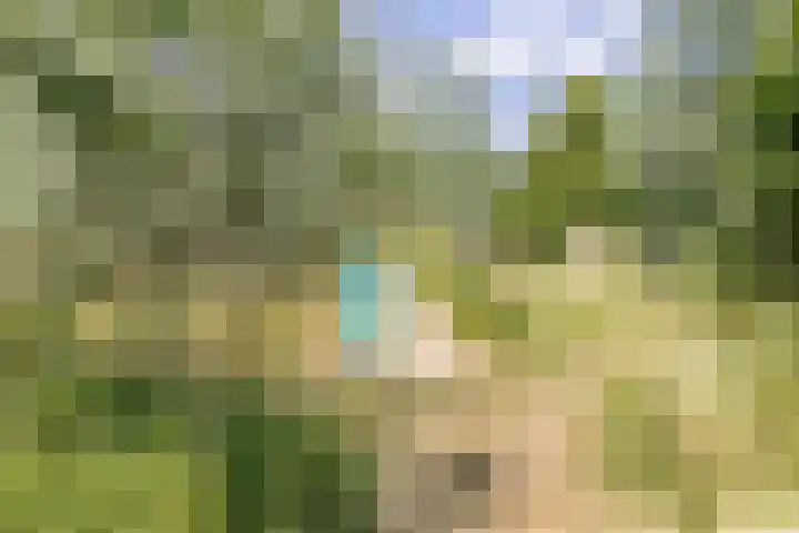 Vogelenzang 16 a Zaltbommel thumbnail 56