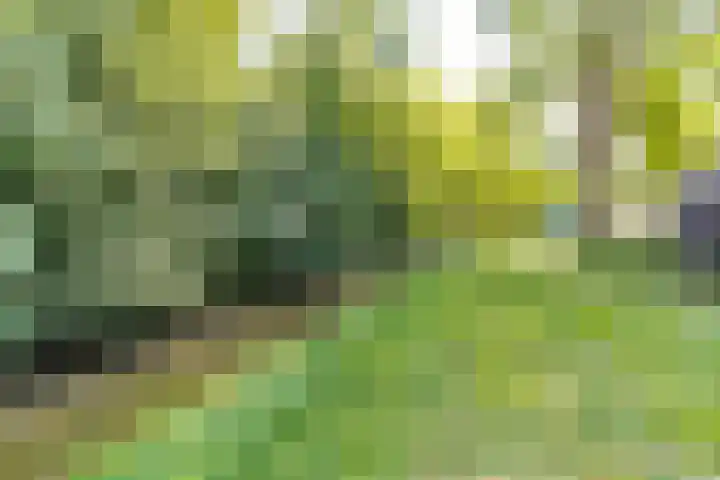 Vogelenzang 16 a Zaltbommel thumbnail 57