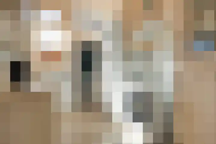 Vogelenzang 16 Breskens thumbnail 10