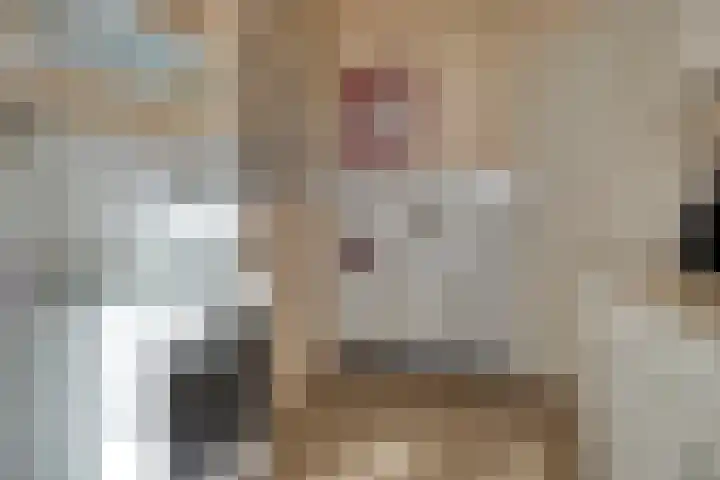 Vogelenzang 16 Breskens thumbnail 12