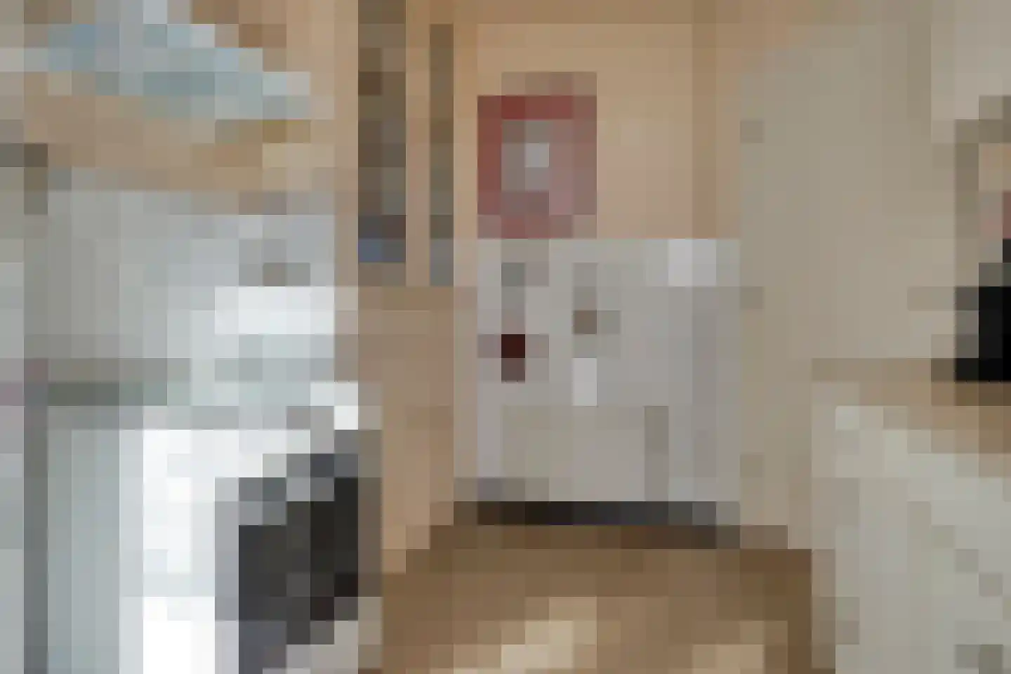 Vogelenzang 16 Breskens thumbnail 12