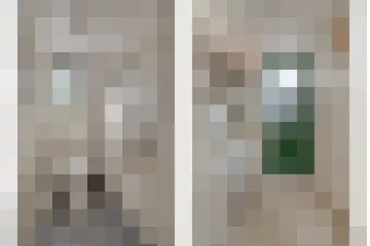 Vogelenzang 16 Breskens thumbnail 13
