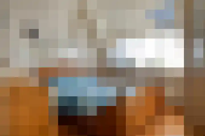 Vogelenzang 16 Breskens thumbnail 14