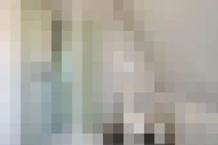 Vogelenzang 16 Breskens thumbnail 17