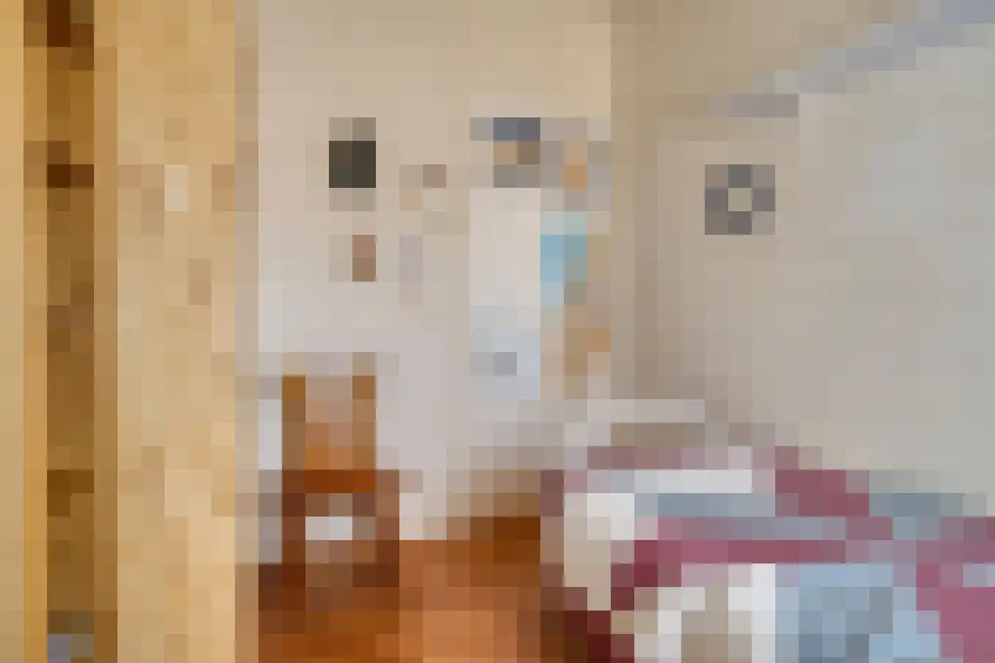 Vogelenzang 16 Breskens thumbnail 19