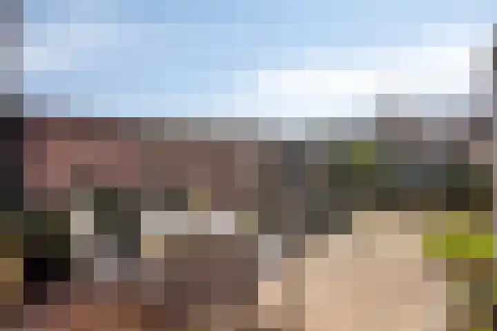 Vogelenzang 16 Breskens thumbnail 22