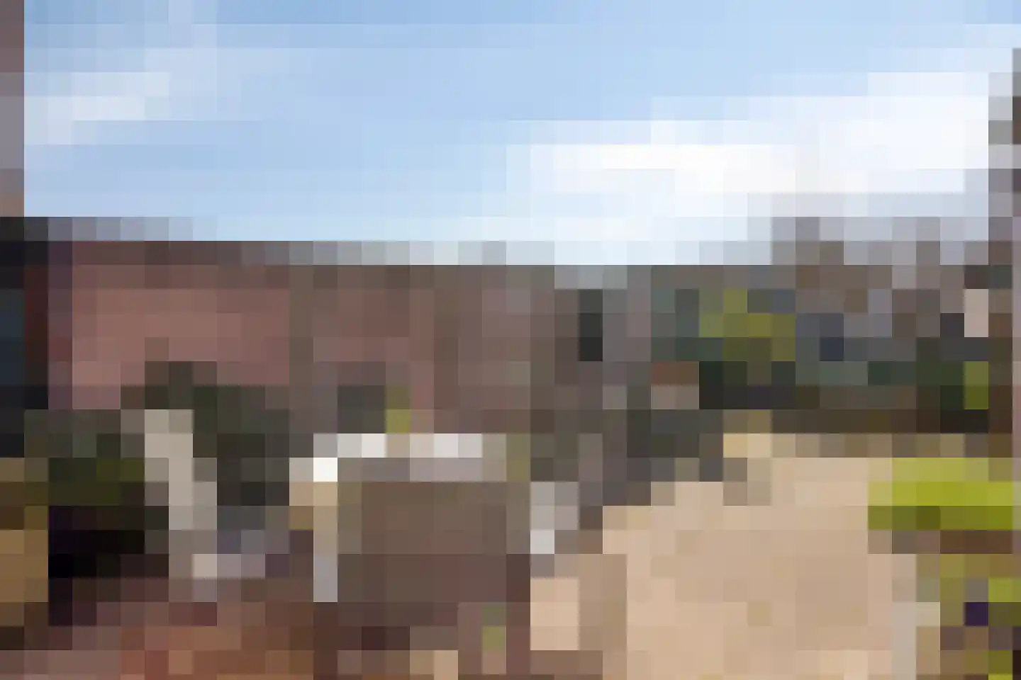 Vogelenzang 16 Breskens thumbnail 22