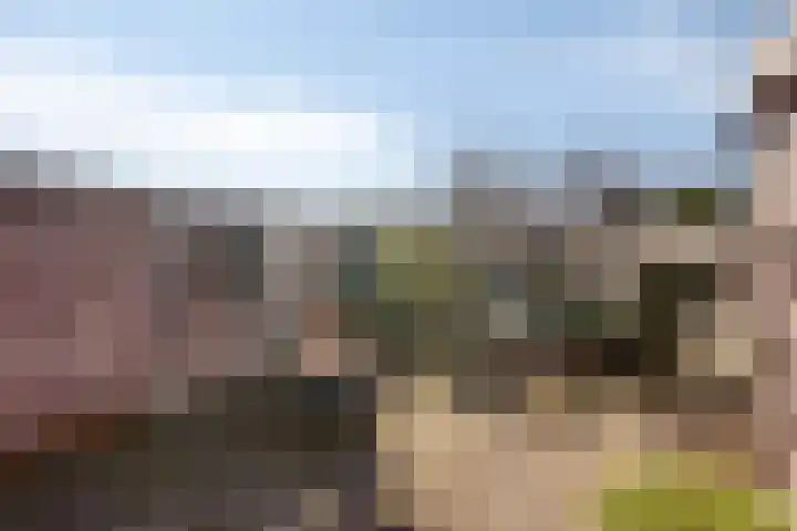 Vogelenzang 16 Breskens thumbnail 23