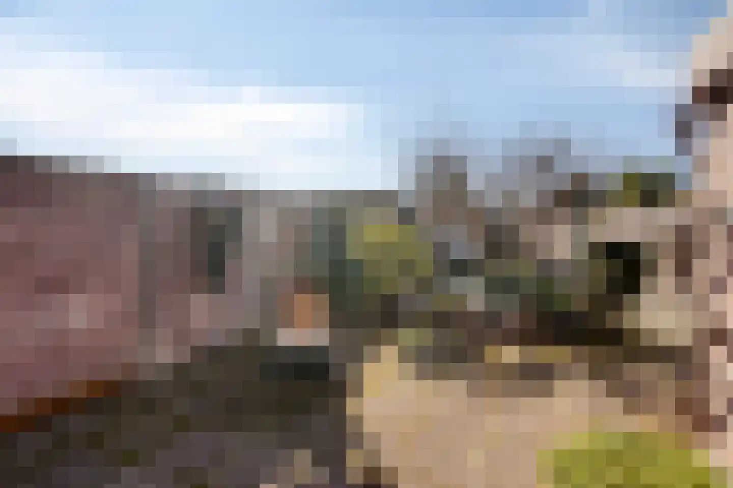 Vogelenzang 16 Breskens thumbnail 23