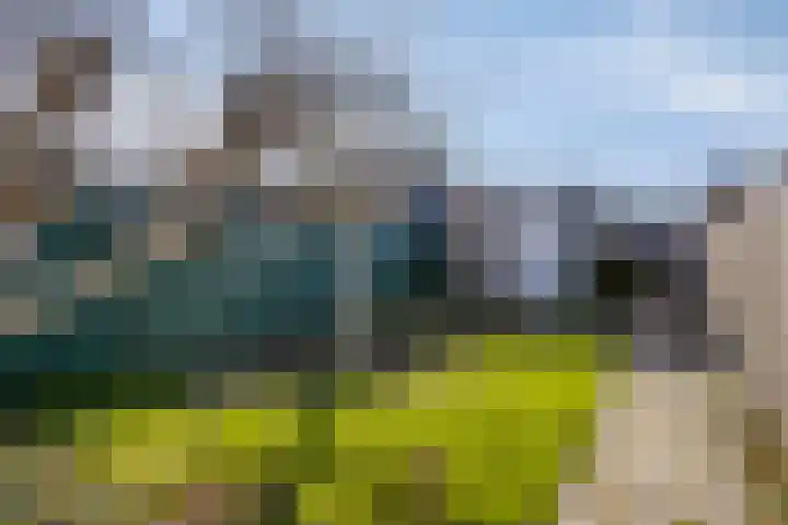 Vogelenzang 16 Breskens thumbnail 24