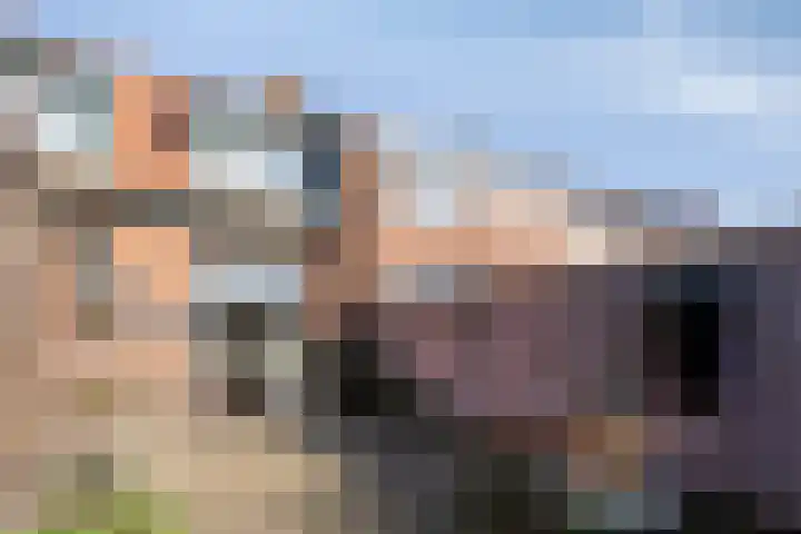 Vogelenzang 16 Breskens thumbnail 25
