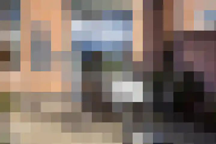 Vogelenzang 16 Breskens thumbnail 27