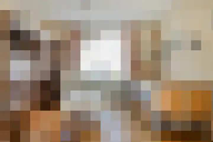 Vogelenzang 16 Breskens thumbnail 5