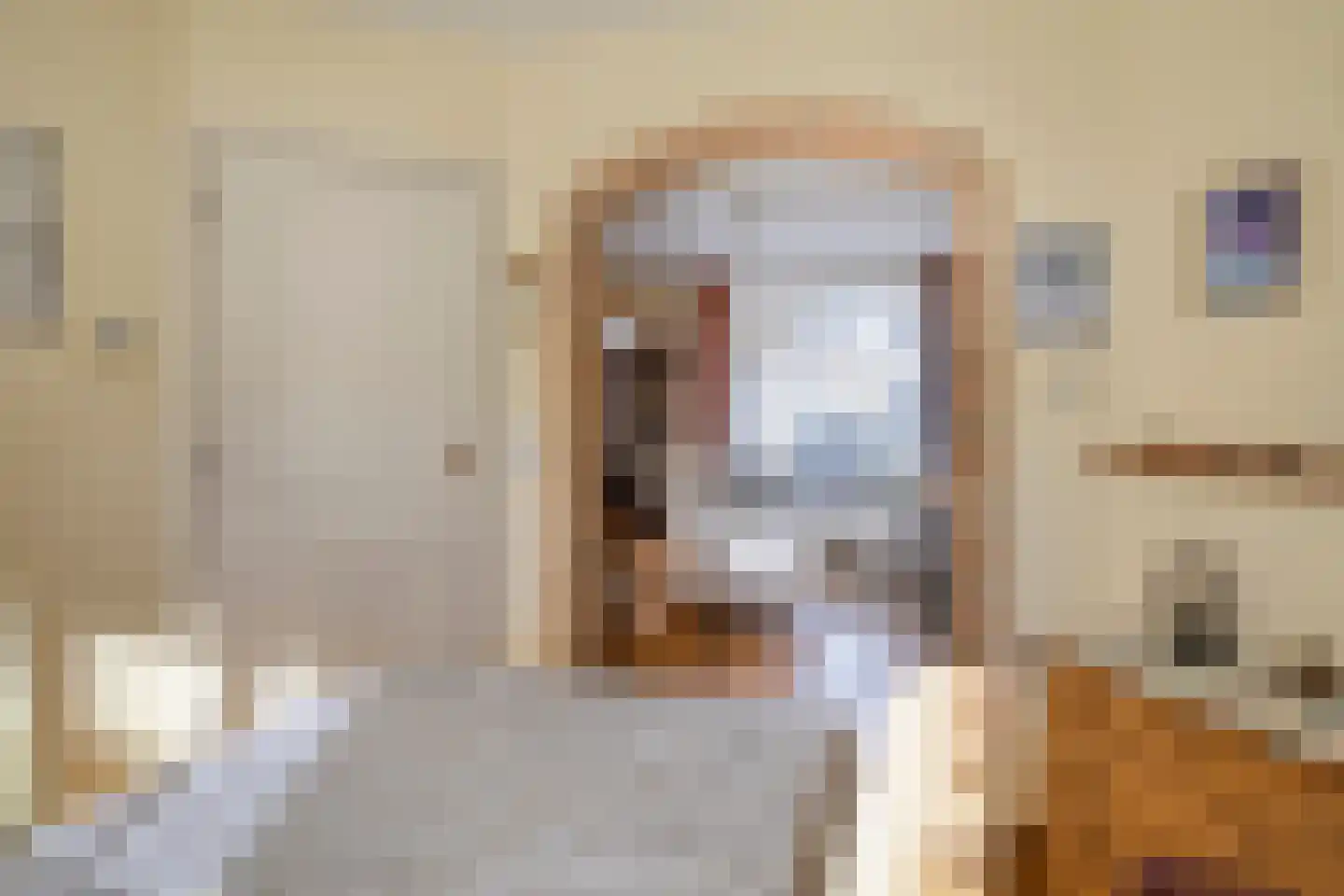 Vogelenzang 16 Breskens thumbnail 8