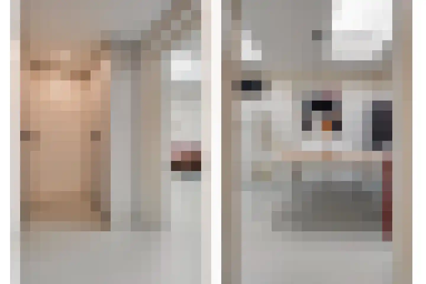 Vogelenzang 21 Breskens thumbnail 11