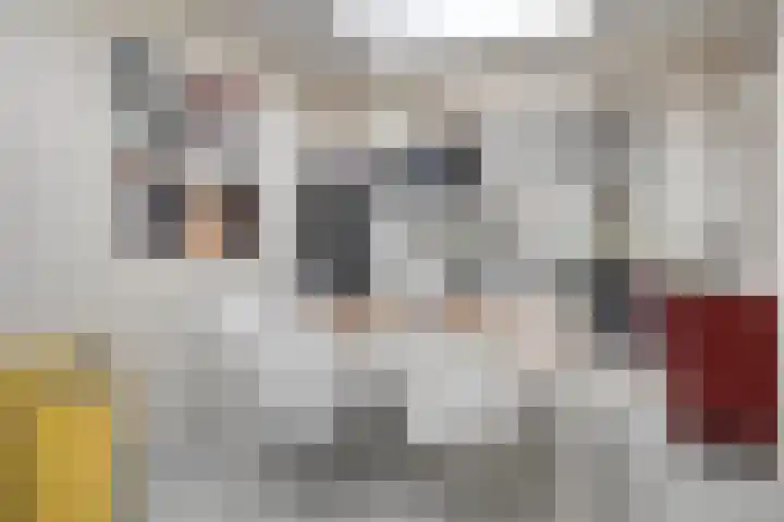 Vogelenzang 21 Breskens thumbnail 12