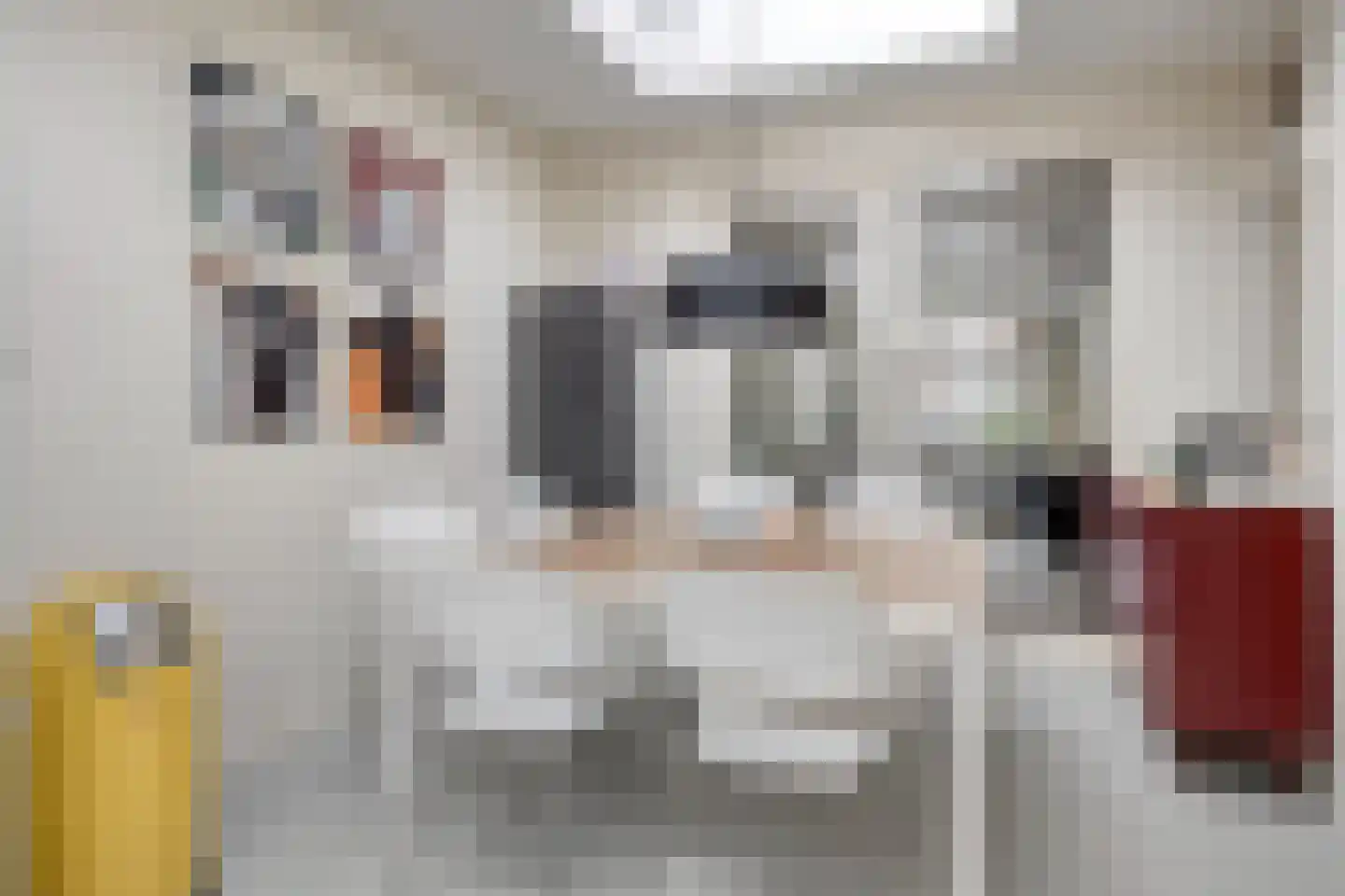 Vogelenzang 21 Breskens thumbnail 12