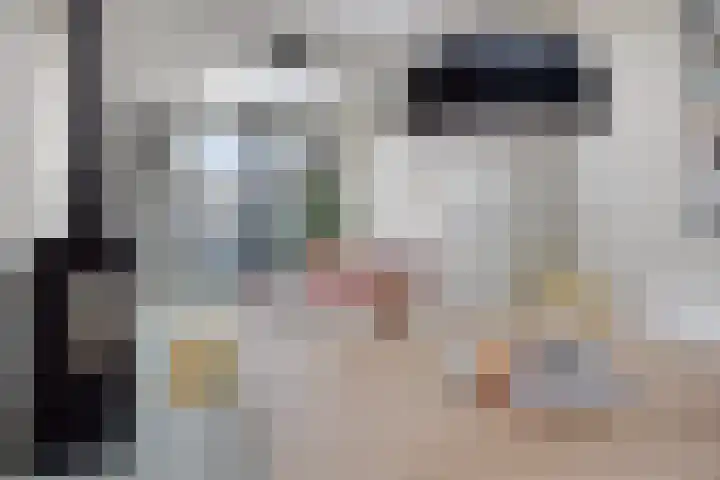 Vogelenzang 21 Breskens thumbnail 13