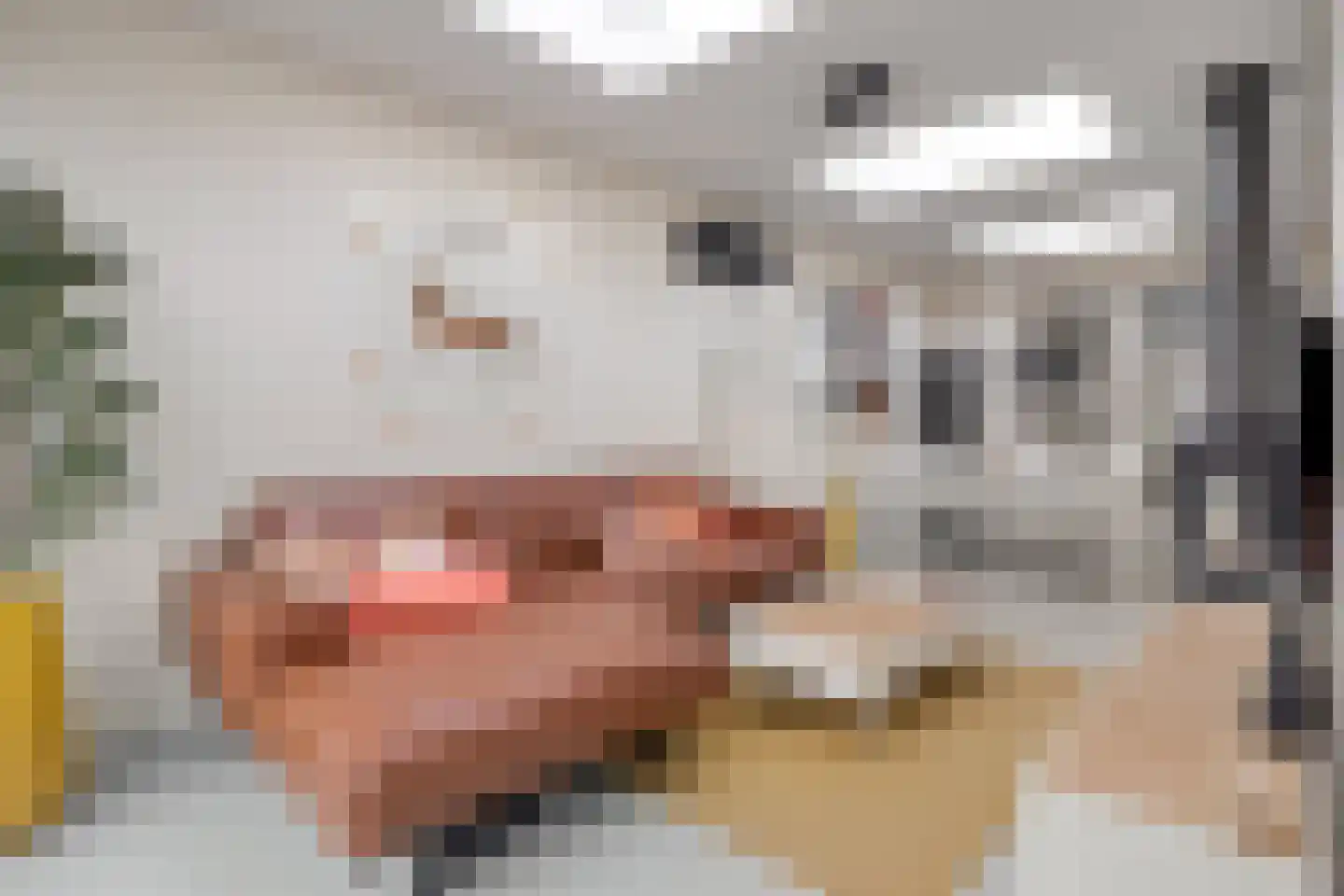 Vogelenzang 21 Breskens thumbnail 15