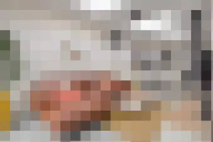 Vogelenzang 21 Breskens thumbnail 15