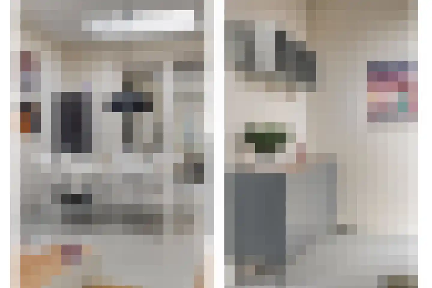 Vogelenzang 21 Breskens thumbnail 18