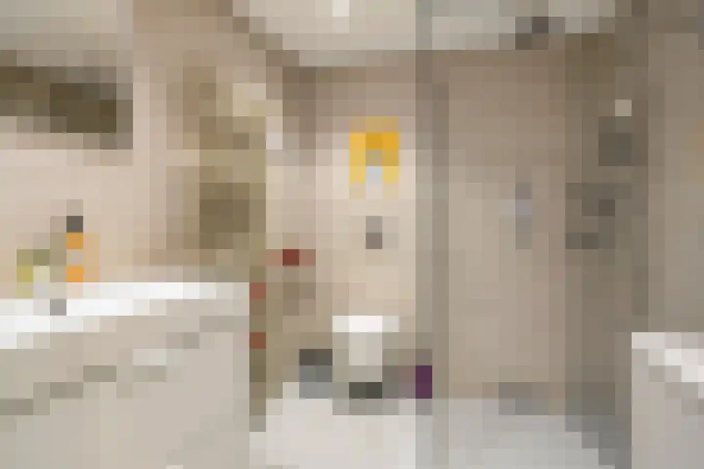 Vogelenzang 21 Breskens thumbnail 19