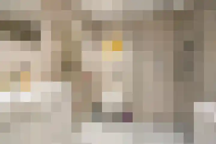 Vogelenzang 21 Breskens thumbnail 19