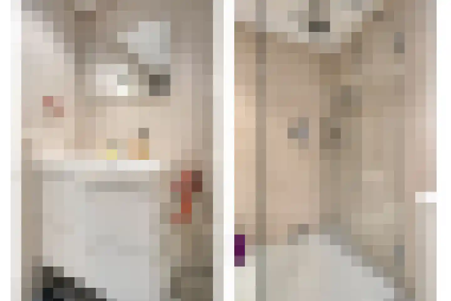 Vogelenzang 21 Breskens thumbnail 20