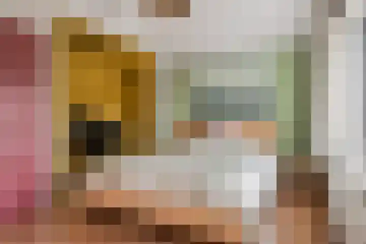Vogelenzang 21 Breskens thumbnail 22