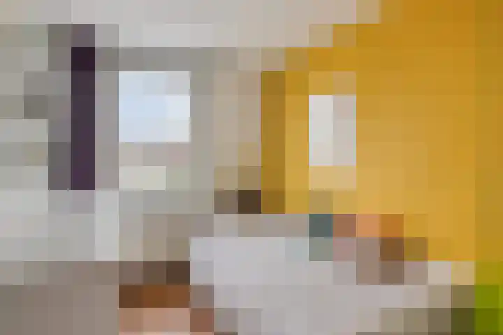 Vogelenzang 21 Breskens thumbnail 24