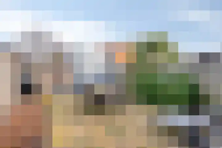 Vogelenzang 21 Breskens thumbnail 27