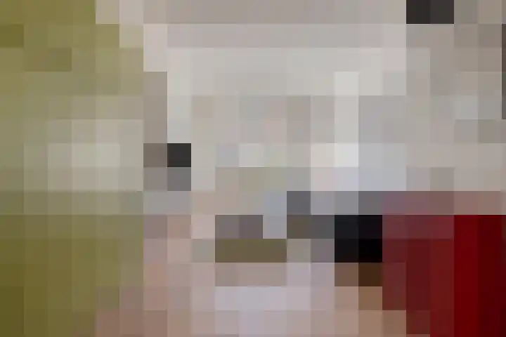 Vogelenzang 21 Breskens thumbnail 4