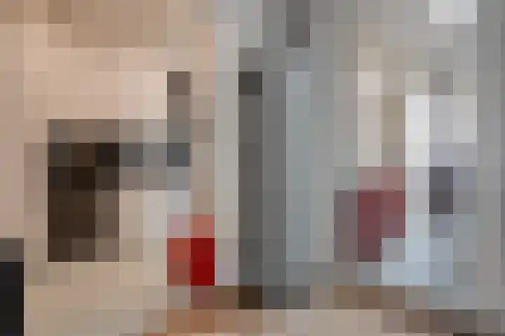 Vogelenzang 21 Breskens thumbnail 7