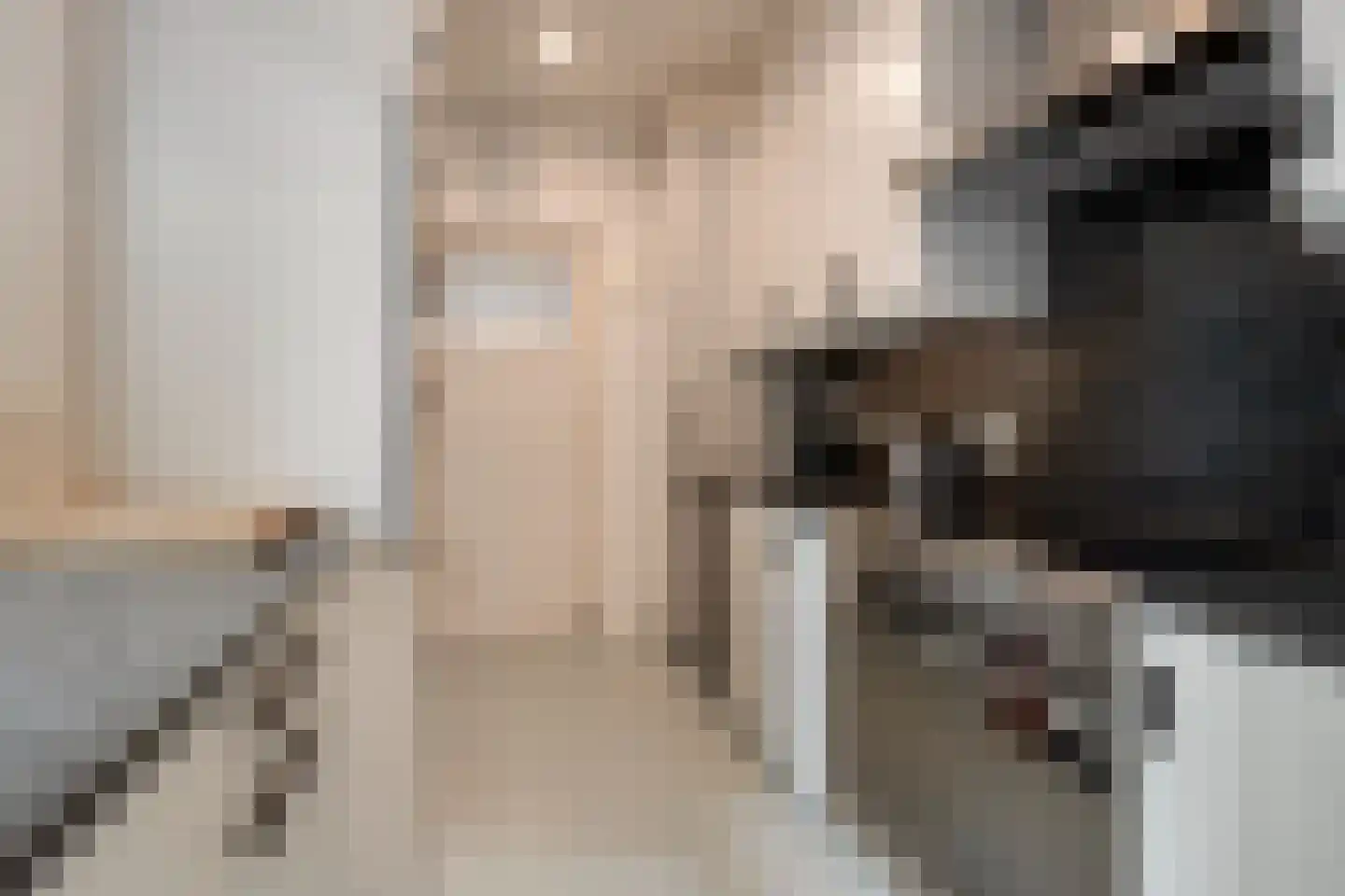 Vogelenzang 21 Breskens thumbnail 9