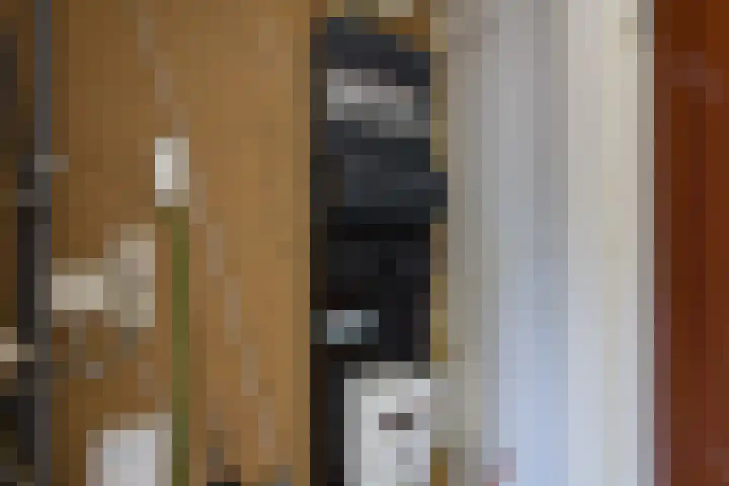 Vogelenzang 21 Kaatsheuvel thumbnail 7