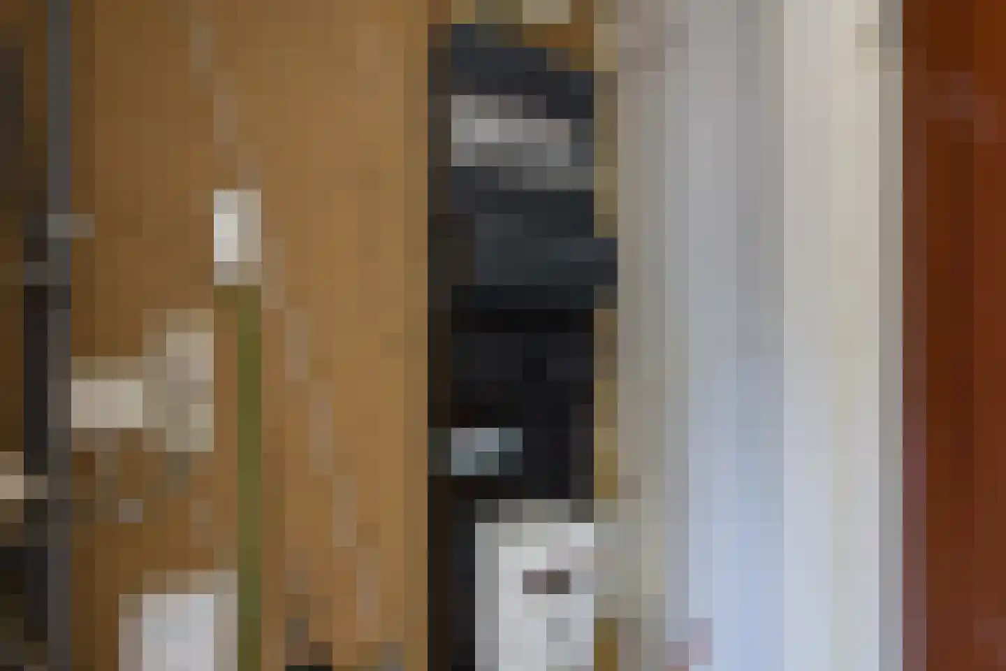 Vogelenzang 21 Kaatsheuvel thumbnail 7