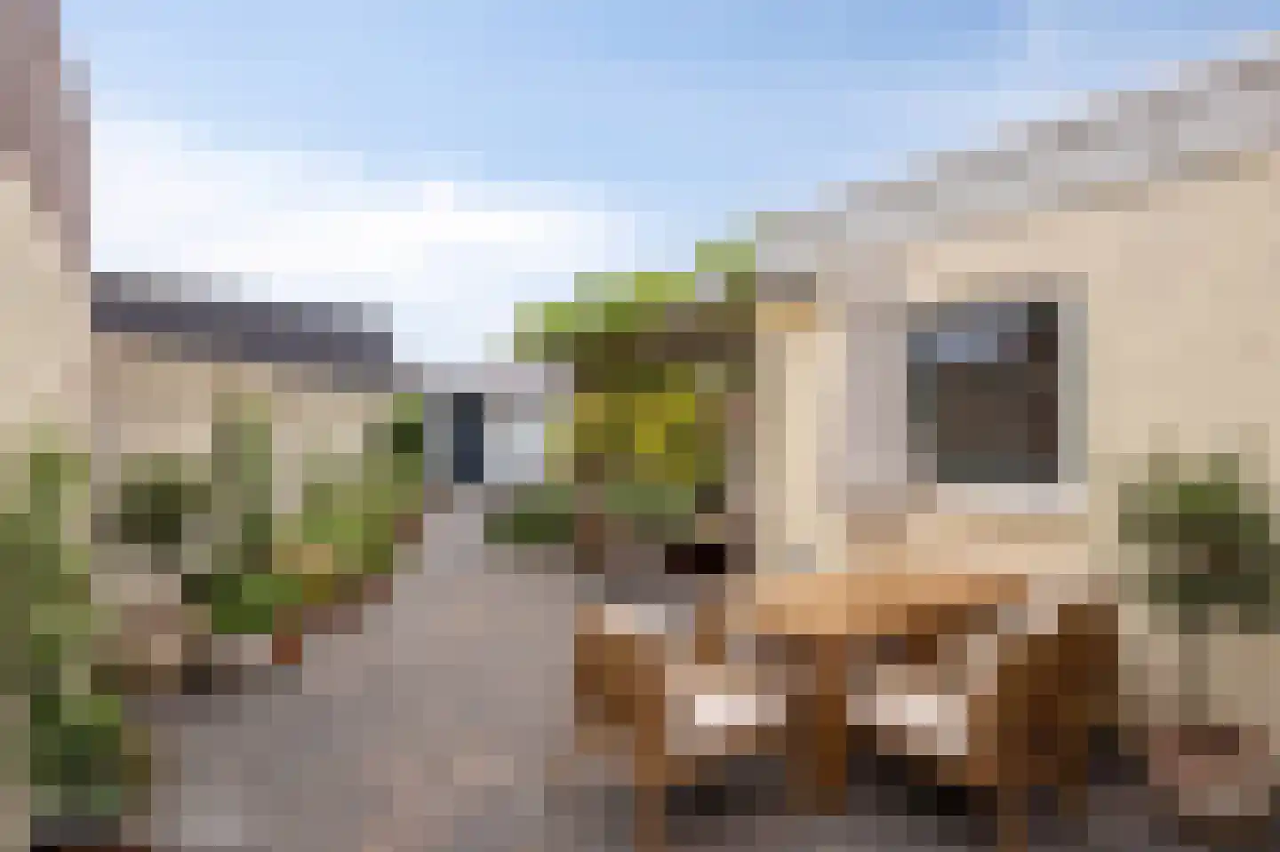 Vogelenzang 22 Breskens thumbnail 24