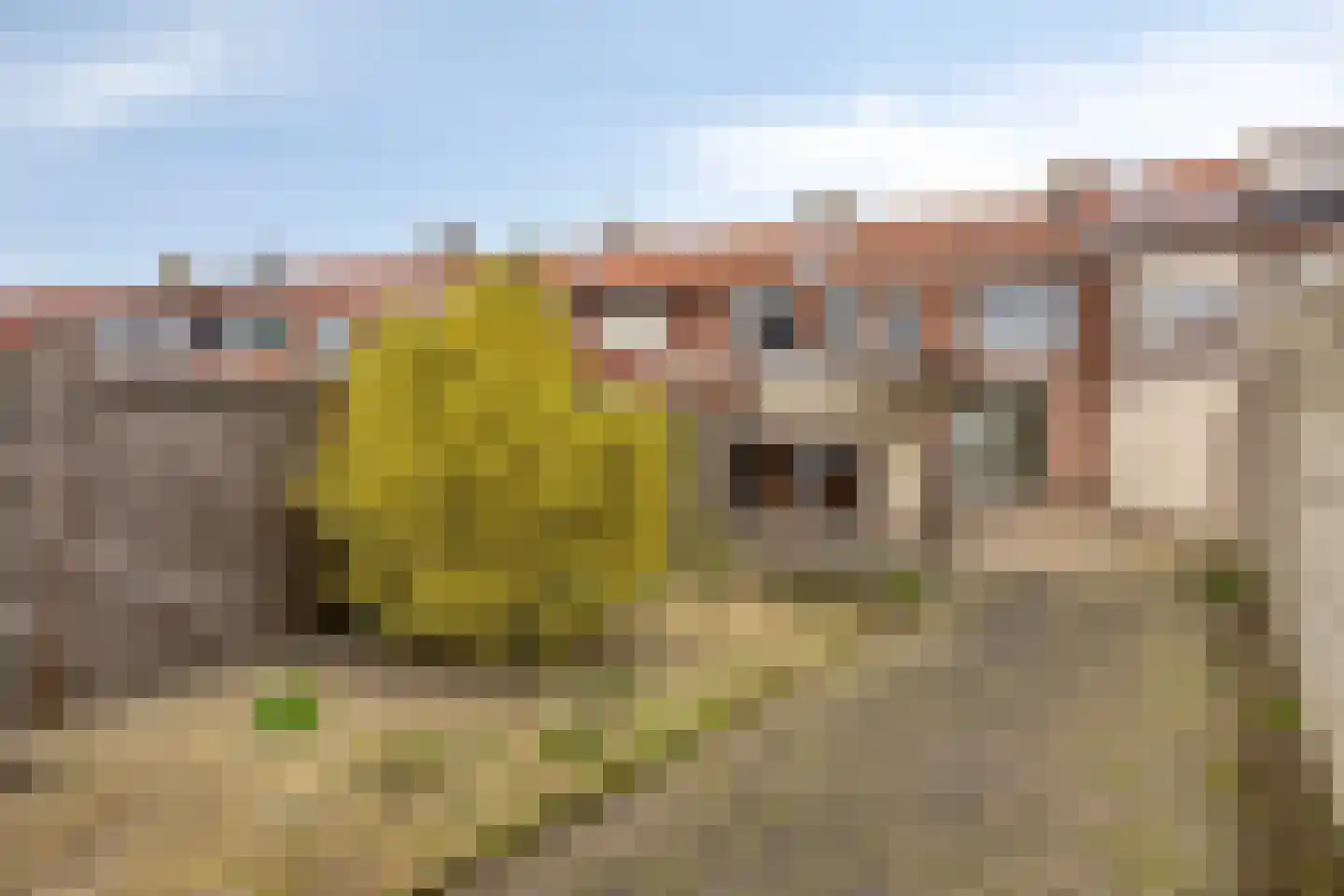 Vogelenzang 22 Breskens thumbnail 27