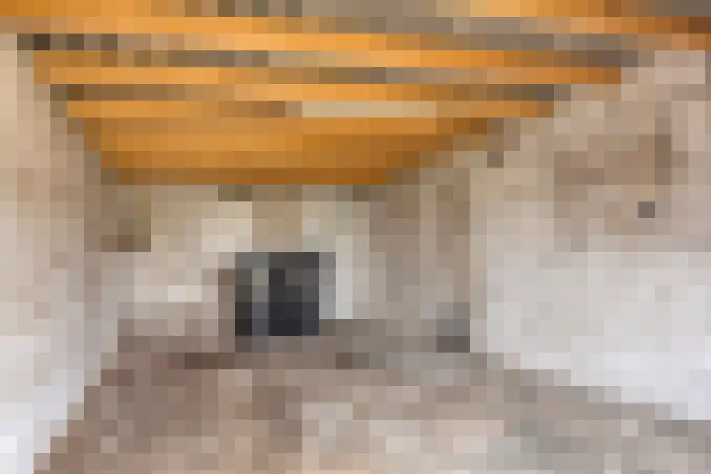 Vogelenzang 22 Breskens thumbnail 30