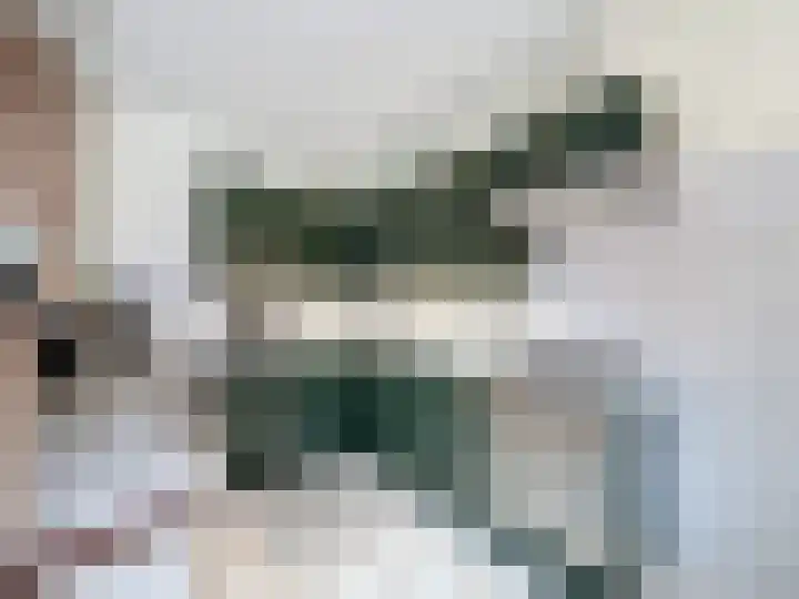 Vogelenzang 23 Breskens thumbnail 11