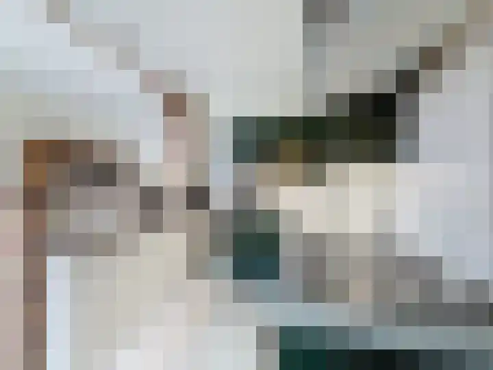 Vogelenzang 23 Breskens thumbnail 12
